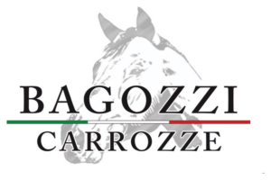 bagozzi