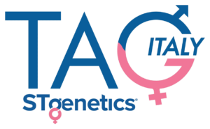 dynamic-gen-tag