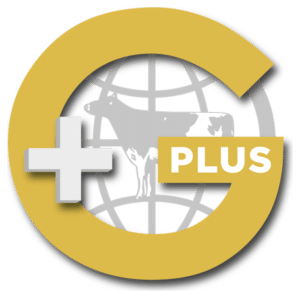 g-plus