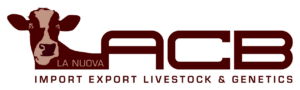 la-nuova-acb