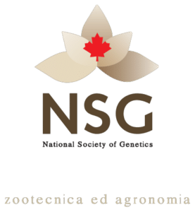 nsg