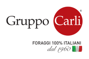sicem-gruppo-carli